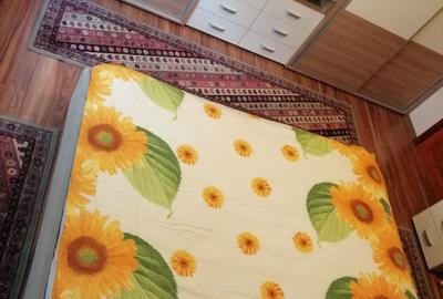 Casă cu 4 camere cu Teren 350 Mp în Lipovei - 5