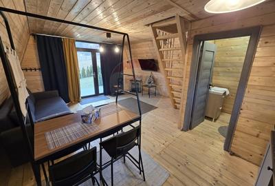Proprietate Speciala in Gura Raului, Sibiu - Doua Cabane A-Frame - 13