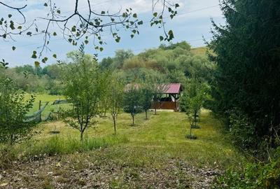 Teren de 637 mp, în Brateiu - 8