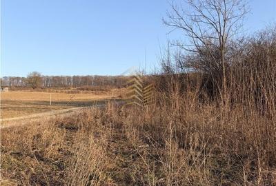 Teren de 1200 mp, în Central