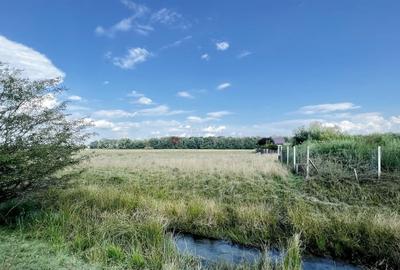 Teren Extravilan - 8