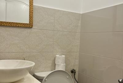 Apartament cu 2 camere decomandat în Vatra Luminoasă - 7
