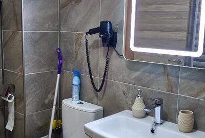 Apartament cu 2 camere semidecomandat, mobilat în Nord - 13