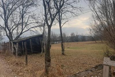 Teren de 2911 mp, în Brebu - 5