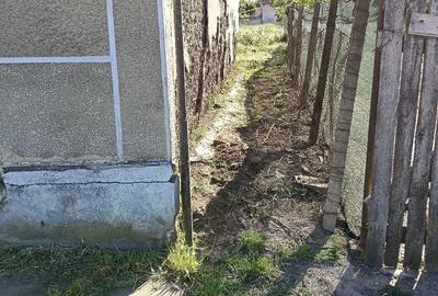Casă cu 3 camere cu Teren 1400 Mp în Dorobanți - 8