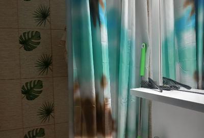 Apartament cu 2 camere decomandat în Sud-Vest - 4