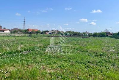 Casa individuala cu curte individuala si gradina - Zona Gai - 17