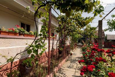 RECO Casa de Ineu - 4