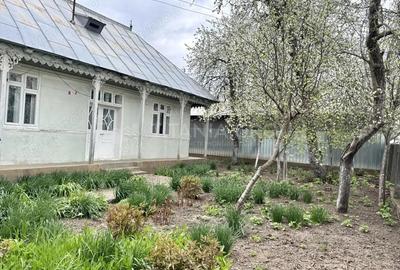 Casa 3 camere+anexe, teren 2400 mp, Damienesti Bacau - 2