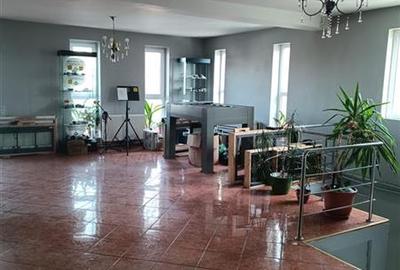 Casă individuală cu 8 camere cu Canalizare în Chitila - 3