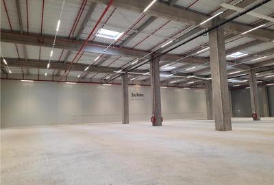 Spatiu Industrial - 5200 mp - Logistica - Productie - Depozitare - Distributie - 10
