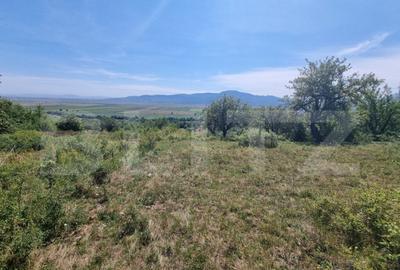 Teren de 3460 mp, în Central