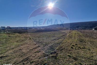 Spațiu comercial, în Hemeiuș - 4