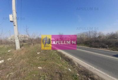 Teren de 4800 mp, în Glina - 15