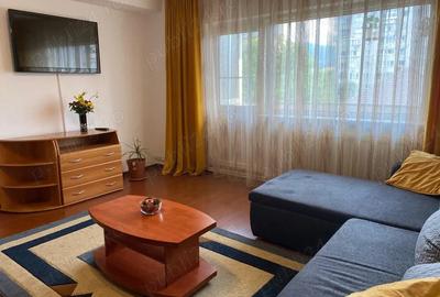 Apartament cu 2 camere decomandat în Scriitorilor - 7