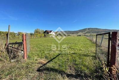 Teren de vanzare extravilan 23 ari - zona Aerodrom - 2