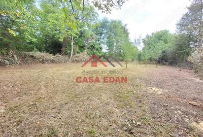 Casă cu Teren 2093 Mp în Bănești - 4