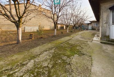 Casa modesta, 2500 mp teren, Domnesti - 2