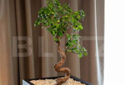 Apartament cu 2 camere, Premium, 57 mp, Silk District Apartament cu 2 camere, Premium, 57 mp, Silk District - 5