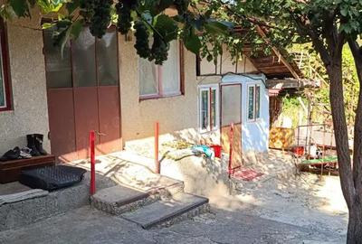 Casă cu 3 camere în Frumușelu - 8