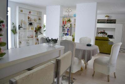 Casa Peciu Nou renovata 270 mp utili,4330 mp teren front 25 ml - 4