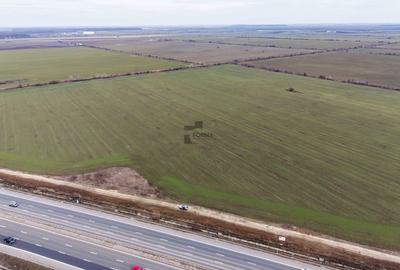 Teren Construcții intravilan de 29777 mp, în Ștefăneștii de Jos - 5