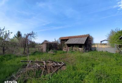 Casă cu 5 camere cu Teren 4122 Mp în Cociuba Mare - 17