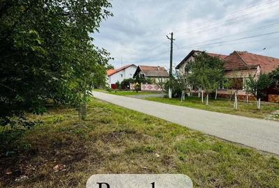 AV622 Teren intravilan, ORTISOARA, 2 parcele, toate utilitatile - 1