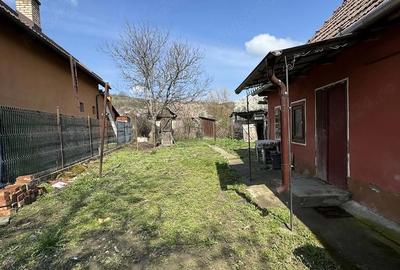 Casă cu Teren 287 Mp în Viforoasa - 3