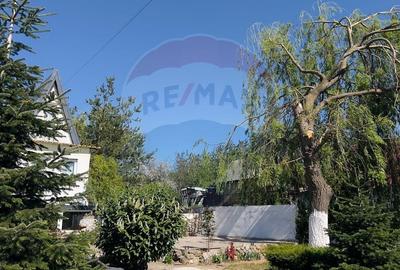 Casă individuală cu 4 camere cu Teren 959 Mp în Lăzăreni - 3