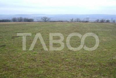 Teren de 3000 mp, în Paltin - 1