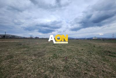 Teren Construcții intravilan de 587 mp, în Ampoi 3 - 5