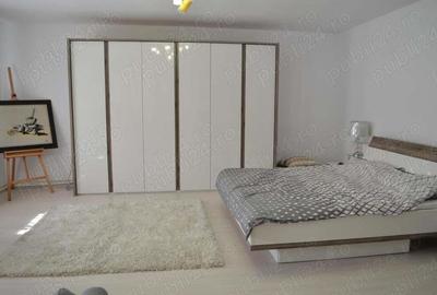 Casa 270 mp utili + teren generos 4330 mp-Peciu Nou - 8