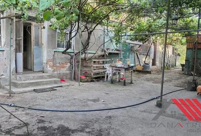 Topolova?u Mare Casa si Teren 1683 mp - 48.500 euro - 13