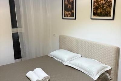 Apartament cu 2 camere decomandat, mobilat în Torontalului - 8