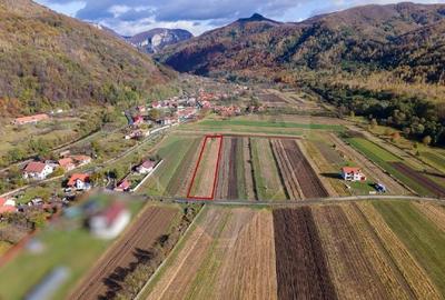 Teren extravilan Petros /  Baru ,jud Hunedoara - 6