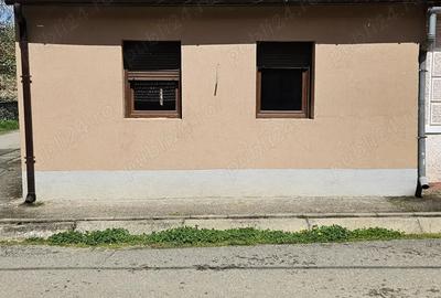 Vand Casa par?ial renovata - 4