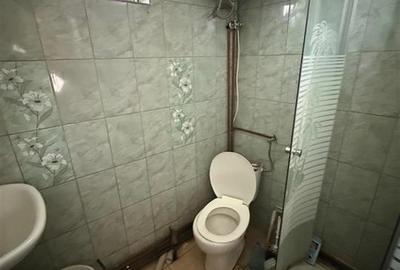 Casa individuala cu 2 camere si 495 mp teren in Sura Mare - 7