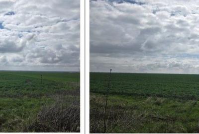 Teren de 5000 mp, în Filipeștii de Târg - 10