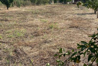 Spațiu comercial, în Petrești - 8