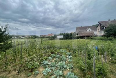 Teren de 1000 mp, în Viișoara - 3