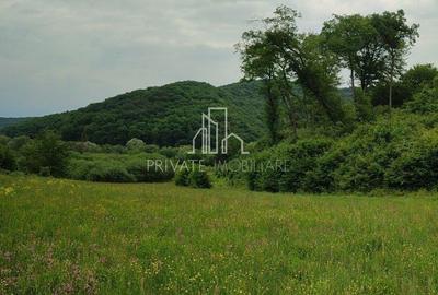 Teren de vanzare, 20.000Mp , Comuna Danes, drumul Crisului - 19