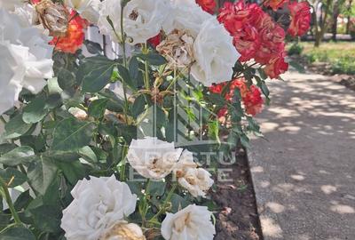 Casa individuala in Ianova,Comuna Remetea Mare - 6