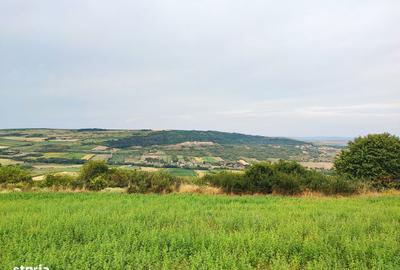 Teren de 1050 mp, în Iris - 3