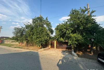 Casă cu 4 camere în Peretu - 2