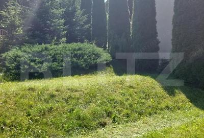 Casă cu Teren 476 Mp în Central - 11