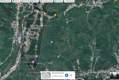 Teren Buciumeni, ID: R2431873 - 7