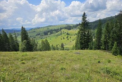 Teren de 36255 mp, în Breaza - 9