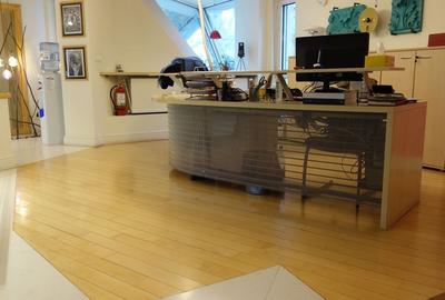 Pache Protopopescu-Agricultori-Matasari Pache Protopopescu-Agricultori-Matasari - 2