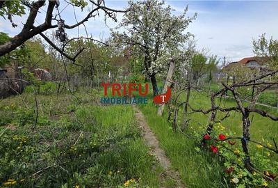 Casă cu 3 camere cu Teren 756 Mp în Micești - 14